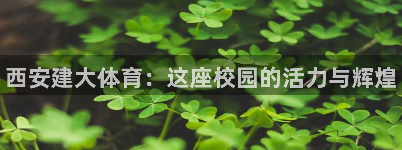 西安建大体育：这座校园的活力与辉煌