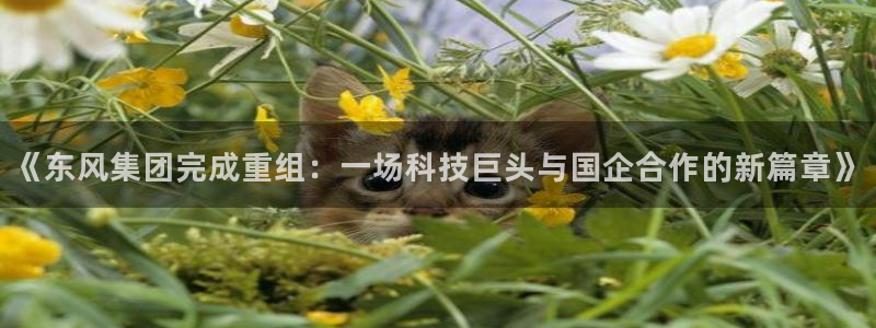 《东风集团完成重组：一场科技巨头与国企合作的新篇章》
